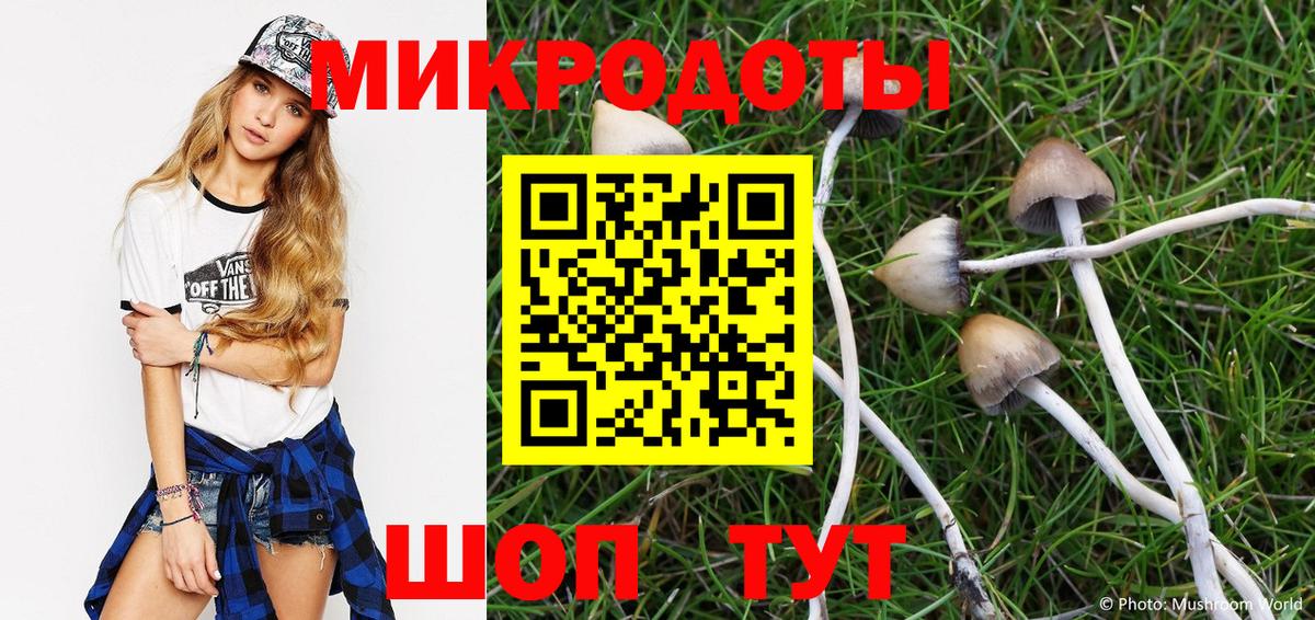 Галлюциногенные грибы Cubensis  Вход с VPN  Надым 