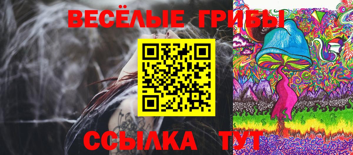Псилоцибиновые грибы мицелий Надым